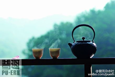 茶人微语录|茶行业利基市场有巨大潜能
