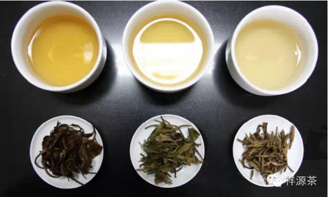 云南白茶的历史与特点