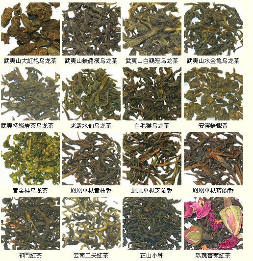 中国茶叶外观大全（多图）