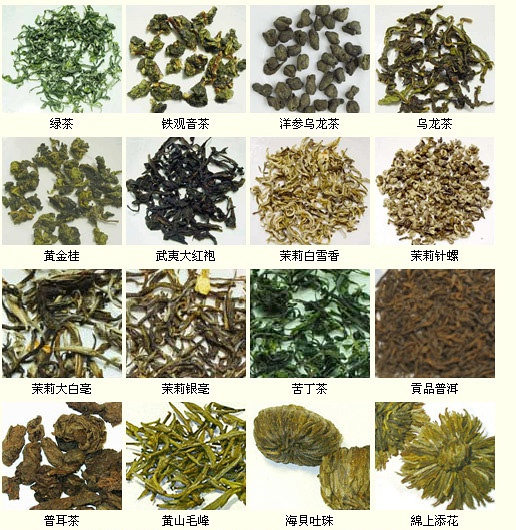 中国茶叶外观大全（多图）