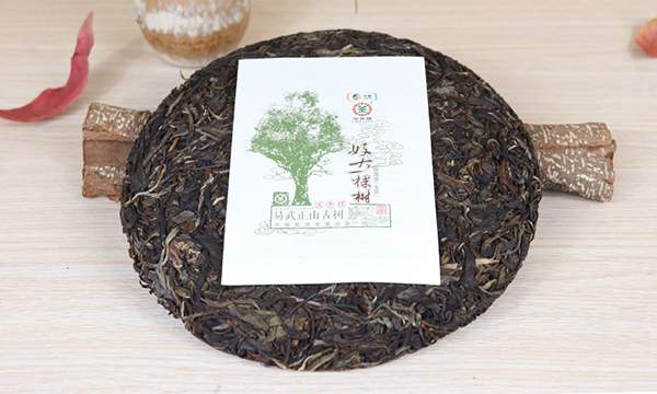 2017年中茶“好大一棵树”(易武正山古树)普洱生茶