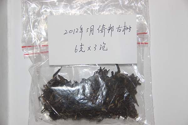 宁波锦地茶业怎么样？锦地古树普洱茶口感滋味如何？
