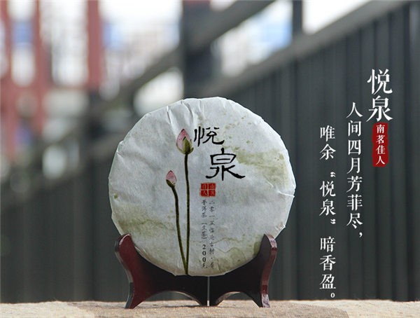 2015年南茗佳人新品古树普洱茶《悦泉》上市