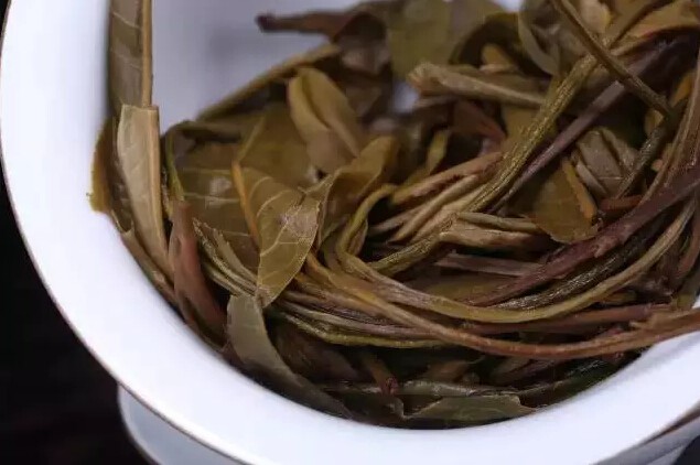 2015年雨林古茶“长风”新品