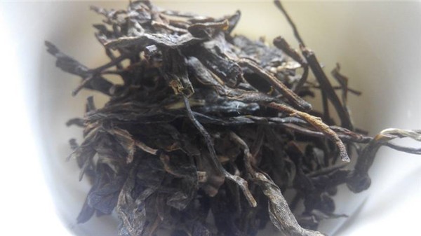 普洱茶“古树林”品鉴