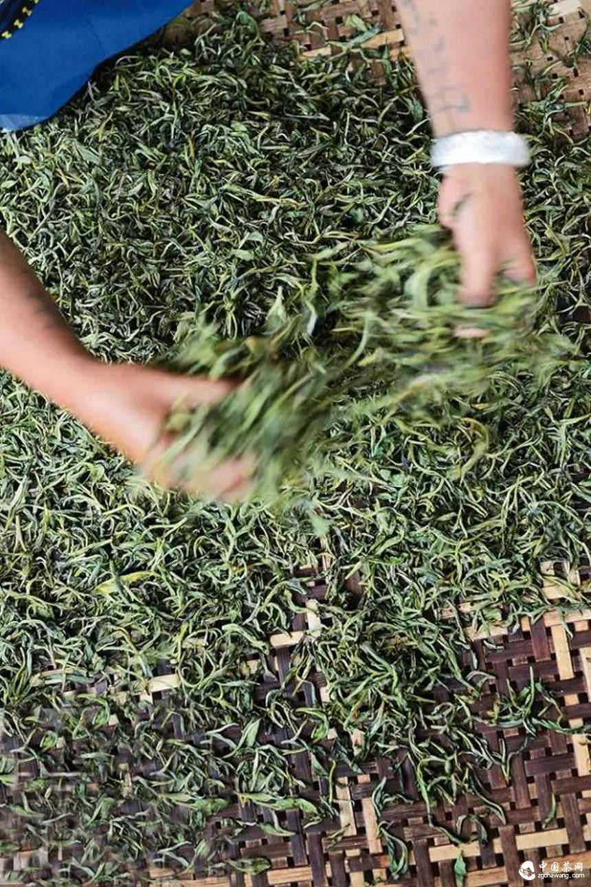 普洱茶行业热点：古树纯料之我见