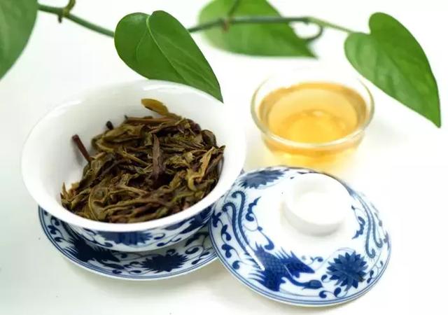 普洱生茶和熟茶的区别与功效禁忌