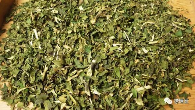 普洱茶中有糯米香味是发酵储藏的作用！