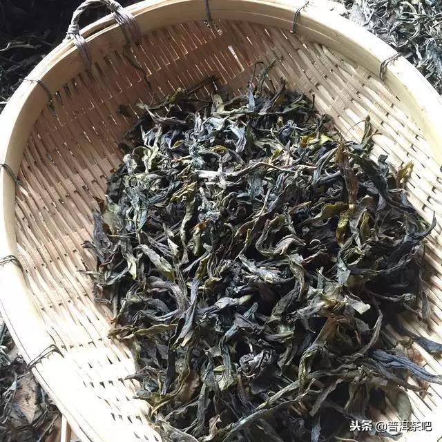 普洱生茶为什么不宜以散茶的方式保存？