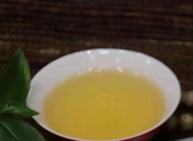 云南普洱茶文化：古树茶第一山“布朗山”