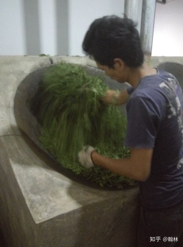云南普洱茶制作工艺流程