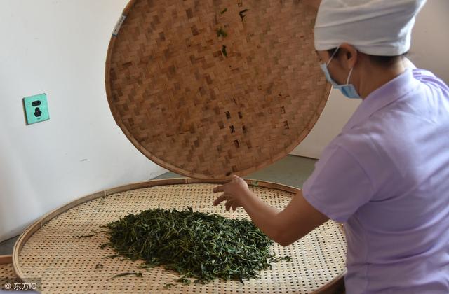 普洱茶制作工艺的整个过程！