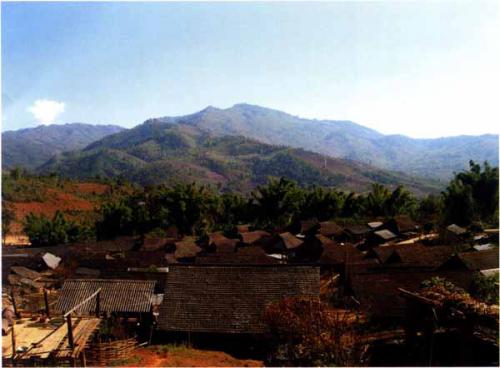 云南勐海茶区历史文化及发展