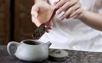 紫砂壶文化就是从一杯茶、一把壶开始