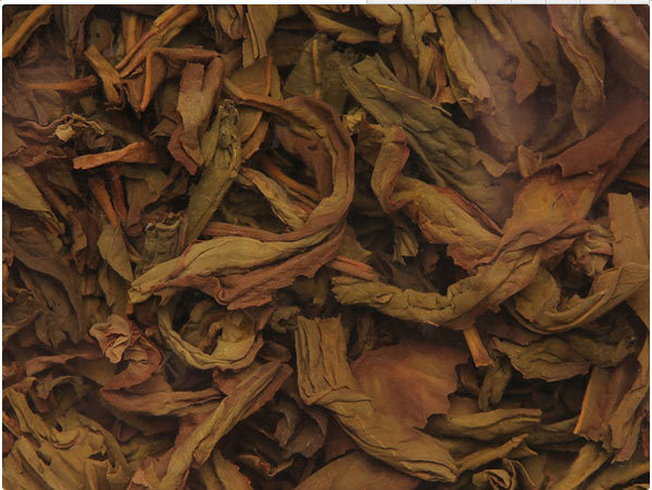 安溪铁观音的主要茶树品种及产地分布