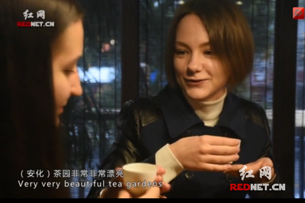 俄罗斯妹子给安化黑茶“代言”：对身体好在俄会有市场