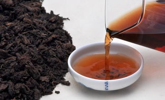黑茶酒的生产原理