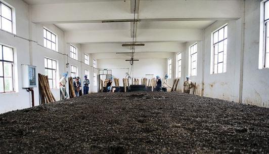 “发酵工艺”成就安化黑茶的收藏价值和独特口味