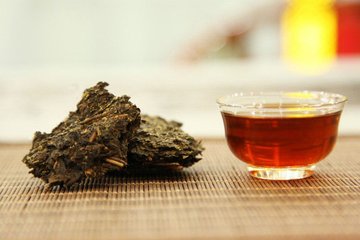 初探安化黑茶药理特性的源头“发酵工艺”