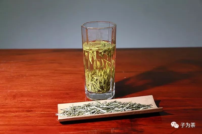 学茶：初识安化松针-松针形特种绿茶