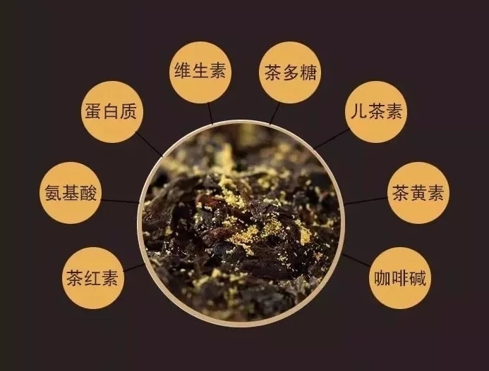 从5大方面，正确了解安化黑茶