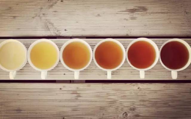 品鉴安化黑茶，不同种类黑茶的口感和品质特性