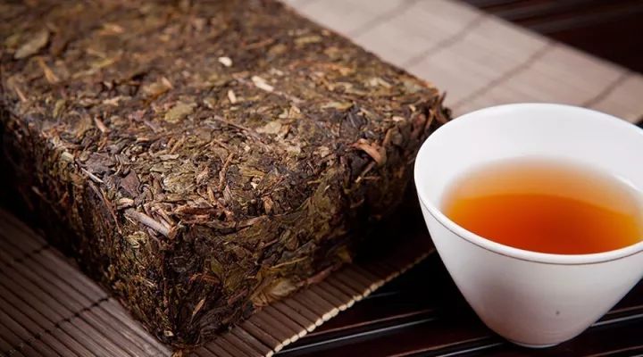 安化黑茶应当品老茶藏新茶喝中期茶
