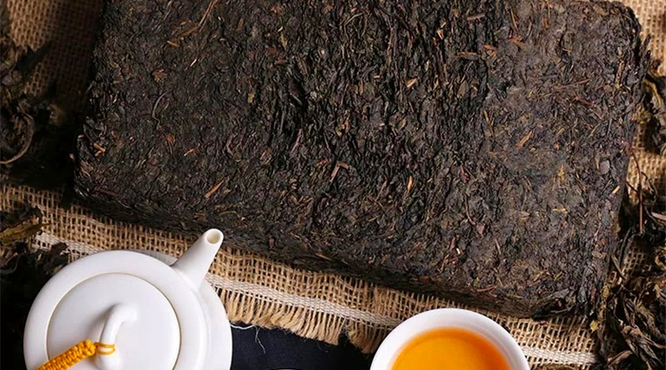 百富茯茶新喝法，让你不再单调地喝茶！