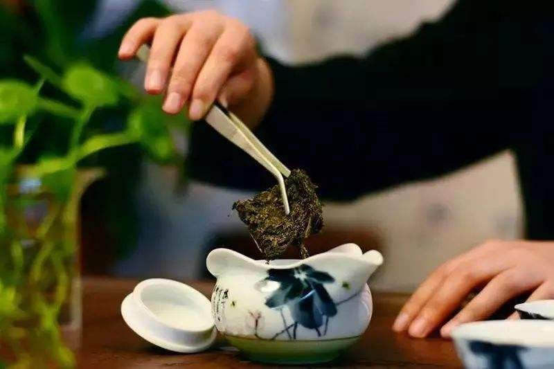 【百富茯茶】入冬时节喝茯茶,御寒暖胃最养生!