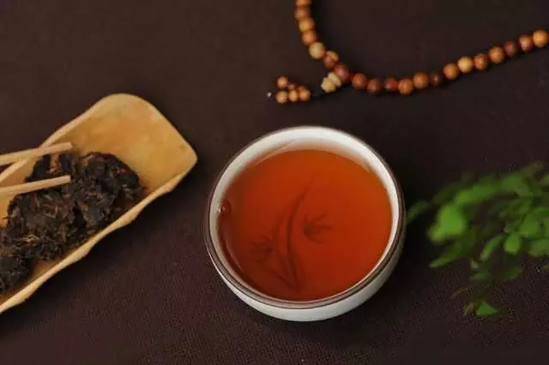 茯茶选料为什么选择比较粗老的茶叶？
