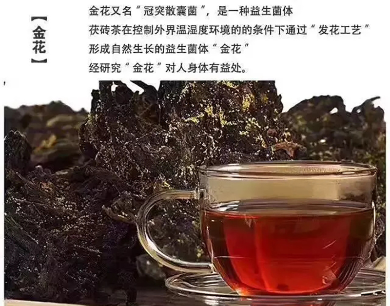 正宗的陕西泾阳茯茶怎样识别？