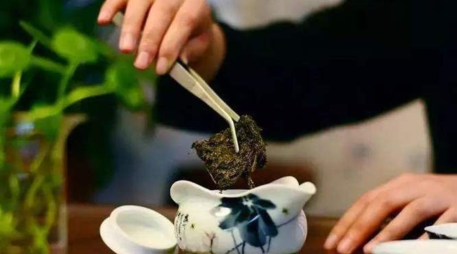 茯茶是热性还是凉性？