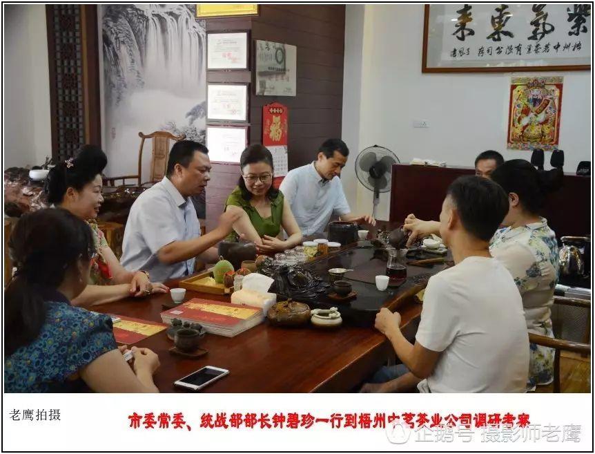市委常委、统战部部长钟碧珍一行到梧州中茗茶业公司调研考察