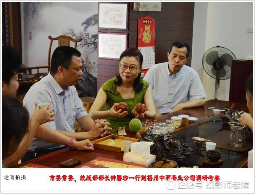 市委常委、统战部部长钟碧珍一行到梧州中茗茶业公司调研考察