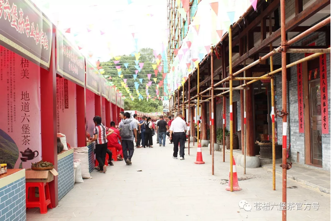 苍梧县首届“中国农民丰收节”、第二届苍梧六堡茶文化旅游节成功举办（多图）