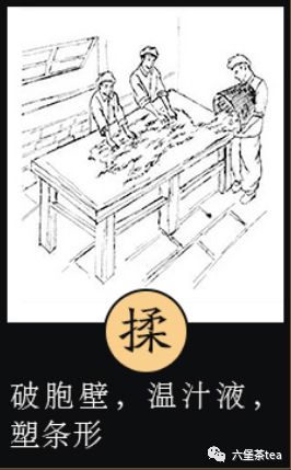 六堡茶传统工艺【组图】