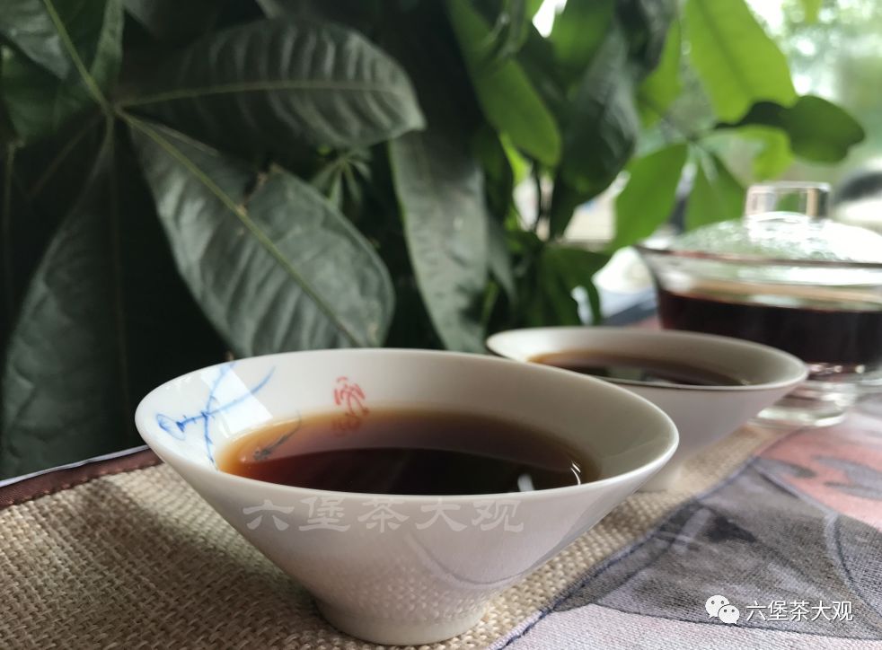 口粮茶|祛湿陈年六堡茶