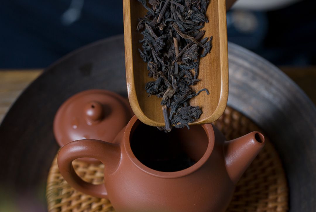 六堡茶|国营茶厂出品，四季皆宜的品质老六堡！