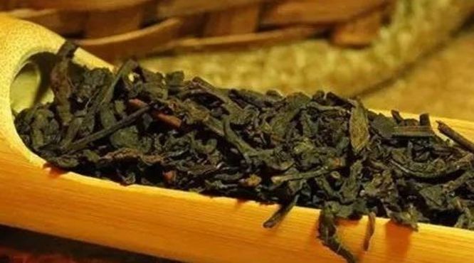 广西六堡茶有什么独特之处？