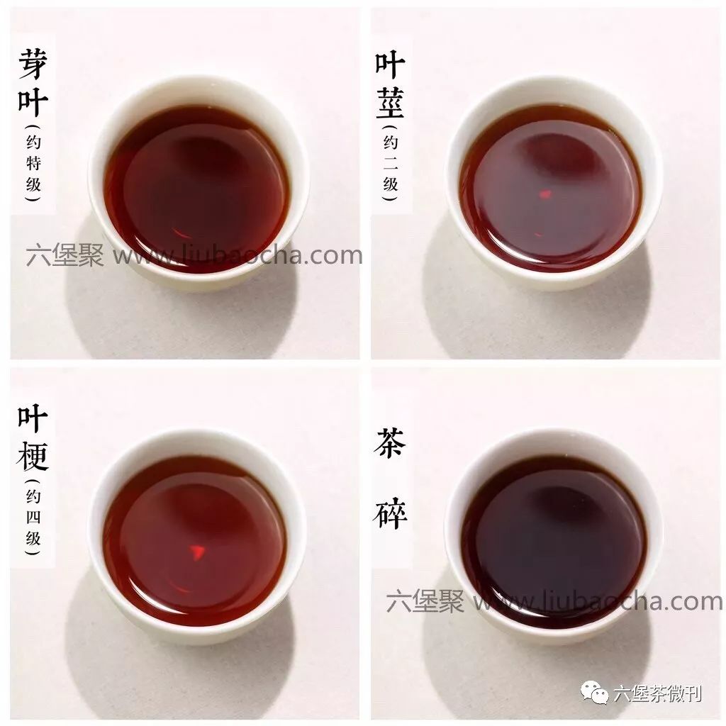 六堡茶“等级”的高低，对茶有影响吗？