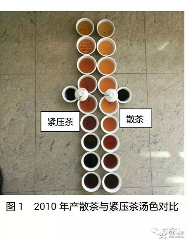 【茶人论茶】武夷岩茶紧压茶新产品的研制与开发
