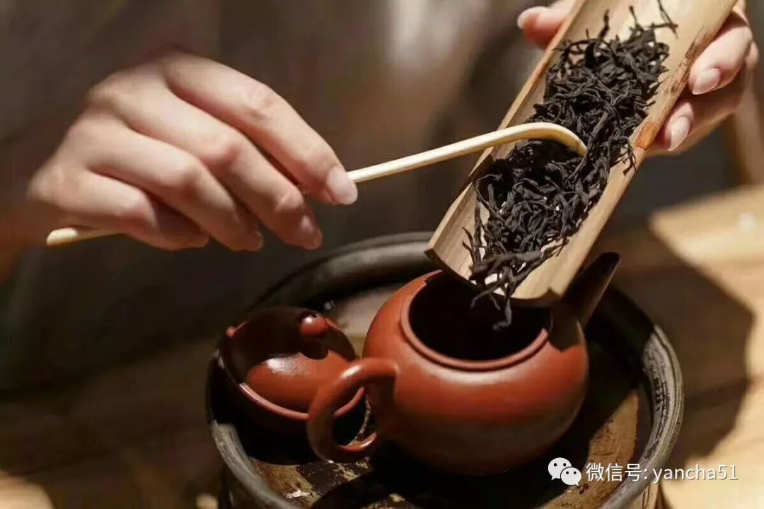 刘国英：武夷岩茶的冲泡和品鉴方法