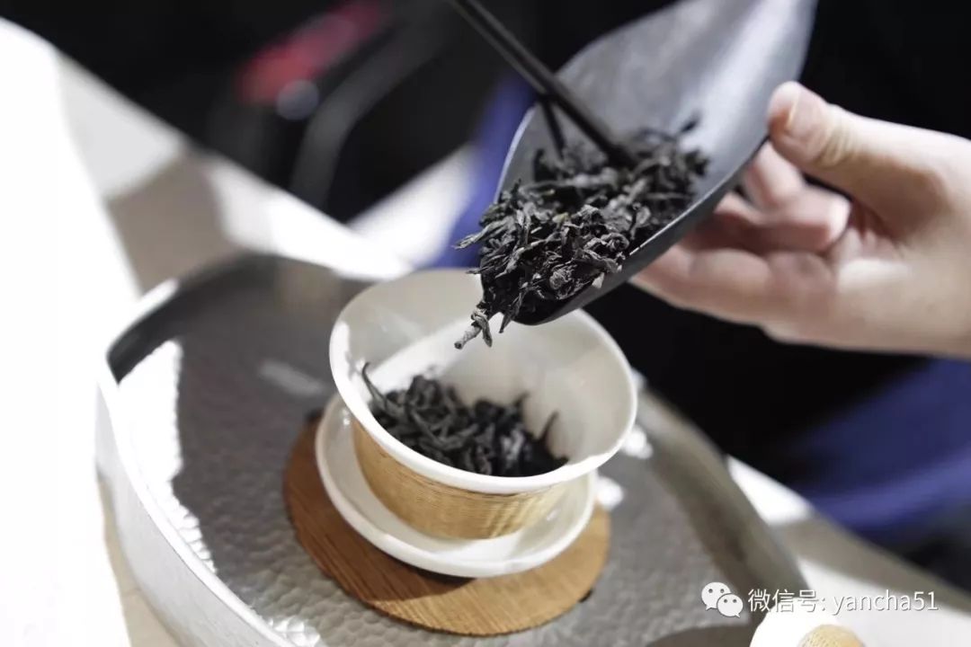 刘国英：武夷岩茶的冲泡和品鉴方法