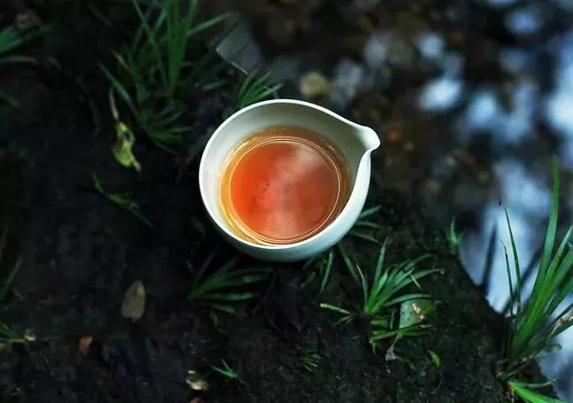 武夷岩茶虽好喝，但这几种一定不要买！