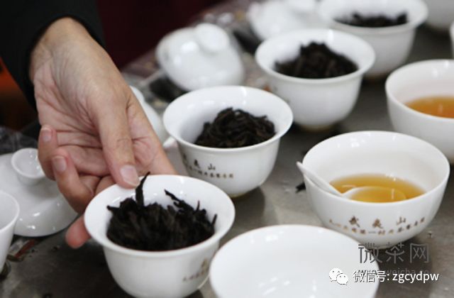 武夷岩茶的“香”和“水”，谁更能体现品质高低呢？