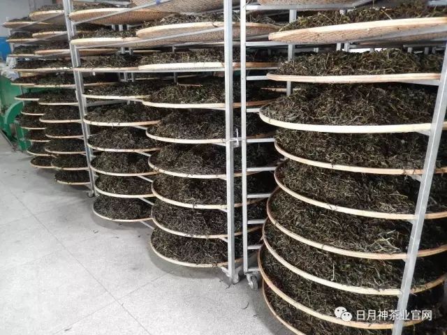 武夷岩茶是怎样制成的？