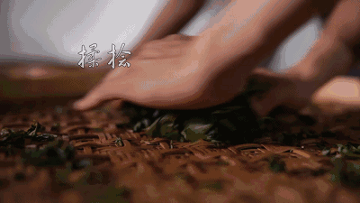 武夷岩茶是怎样制成的？
