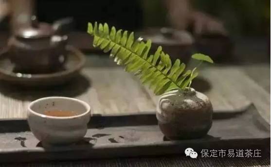 老白茶遇到陈皮，冬日里煮出的养生茶