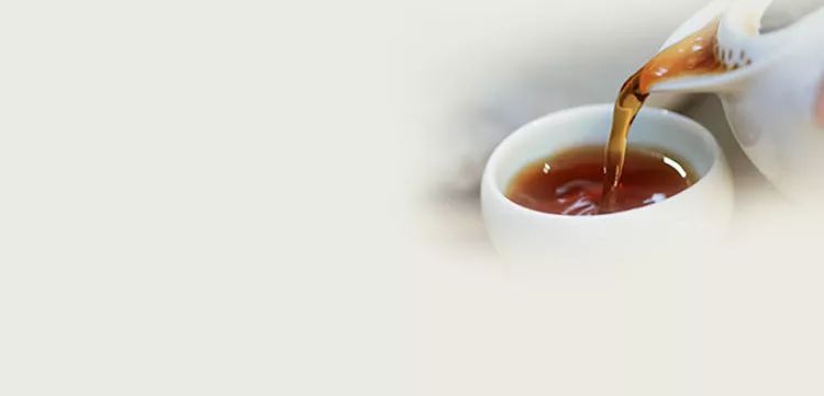 长期喝老白茶，对身体有什么好处