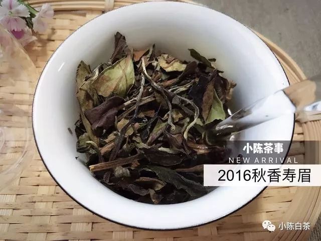 正确的白茶冲泡手法，能让你的老白茶更香，重点关注这个技巧！